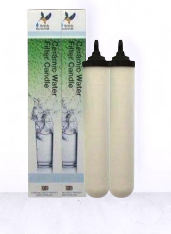 English ceramic filter candle - 2 pieces